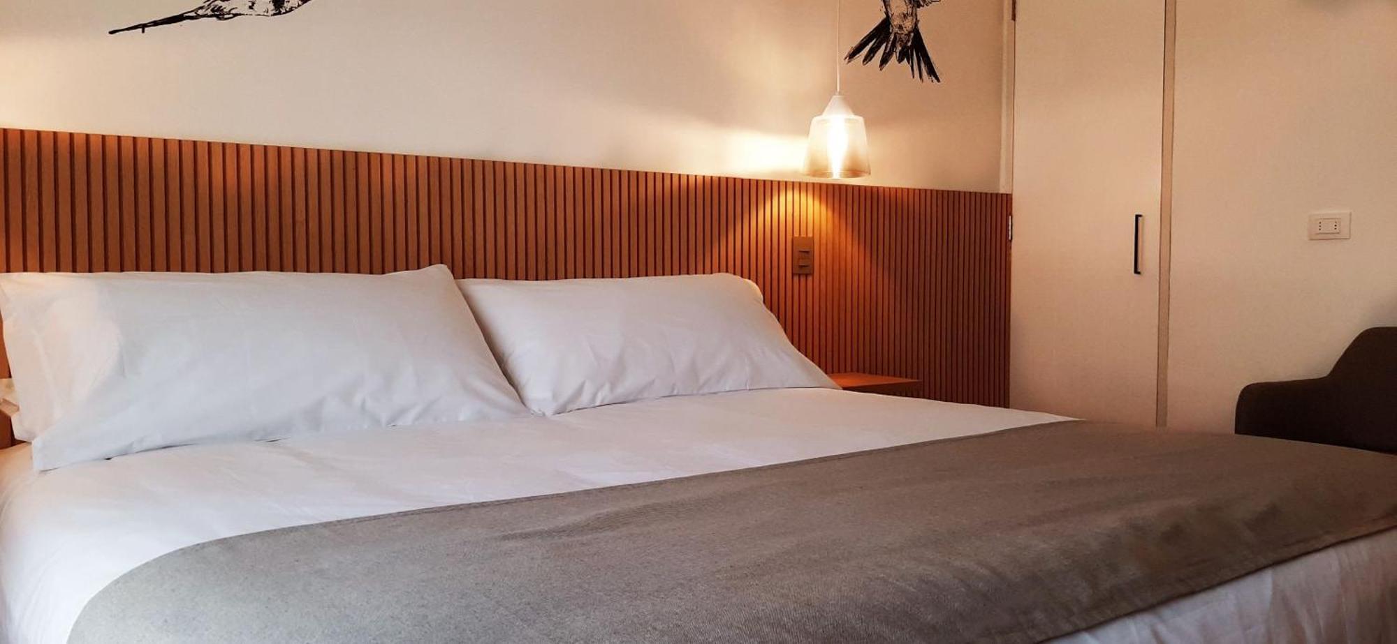 Apartament Living Vaisse Santiago de Chile Zewnętrze zdjęcie